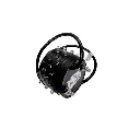 55.webp